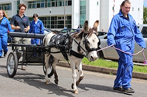 Open House & Gardens 2016