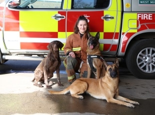 Public Services Work Experience