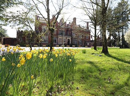 the college from the perspective of daffodils