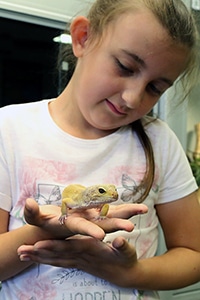 small child with a reptile