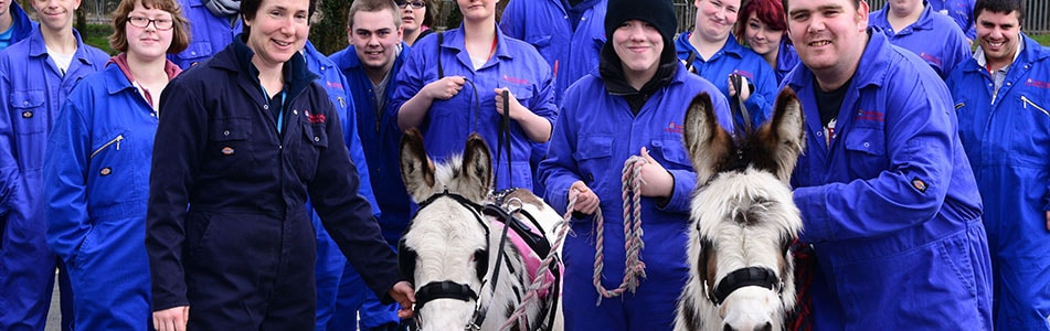 Level 1 Diploma in Land-Based Studies - Animal Care Course - Solihull College & University Centre Level 1 Diploma in Land-Based Studies - Animal Care Course - Solihull College & University Centre