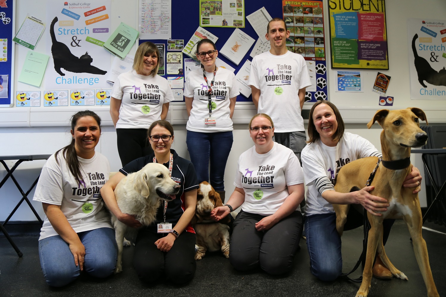 The College team all in Dogs Home Tshirts stood with three dogs in a classroom