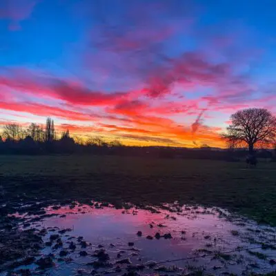 Rachael Heywood's image of a sunset over fields
