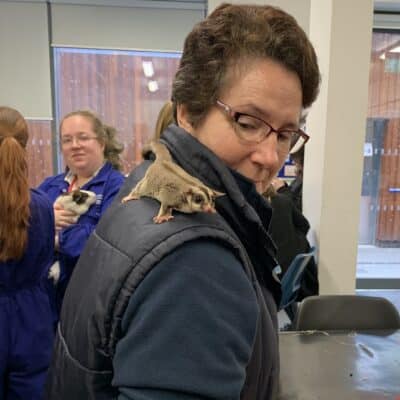 Animal Welfare students welcome international guests