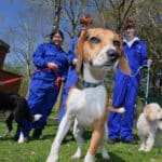College to invest £600k in animal welfare facilities ahead of T-Level launch