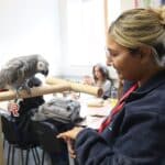 College parrot becomes classroom mascot