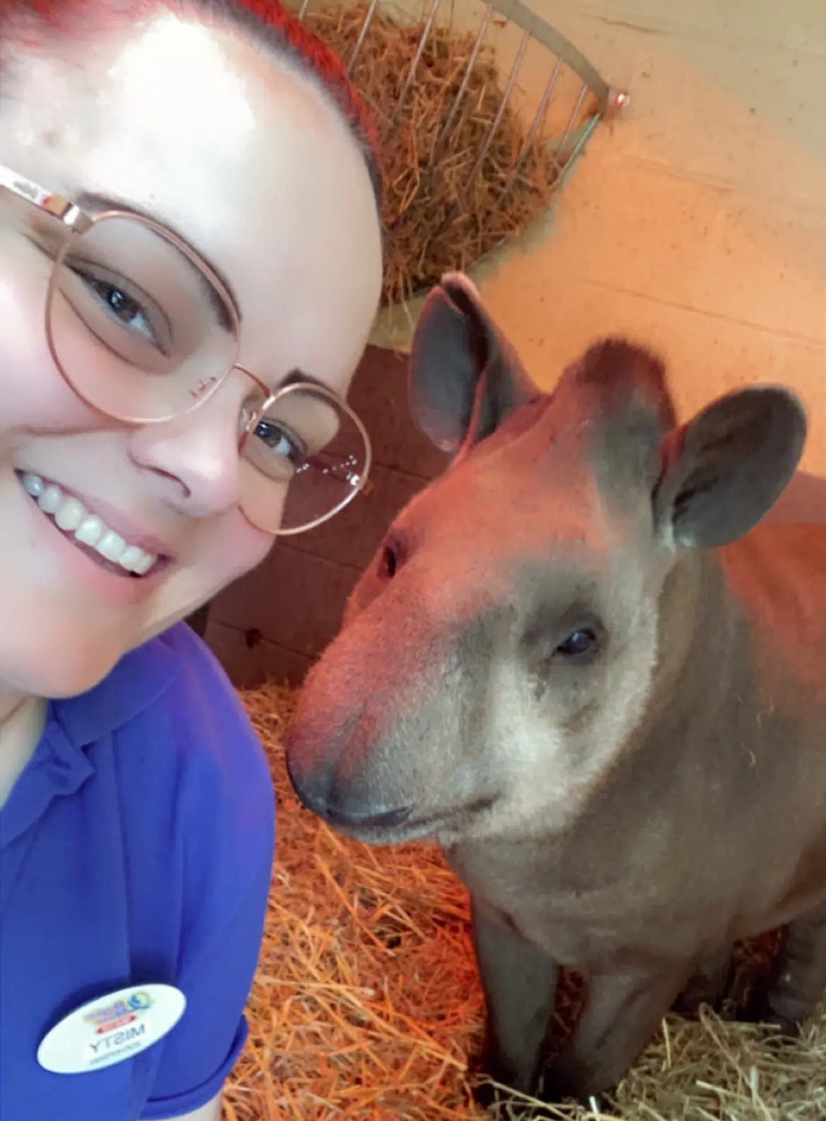 Misty with a tapir