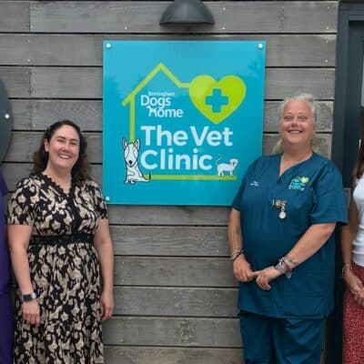 Linsey Yeomans, Rebecca Phipps, Rachael Fox and Claire Powell.