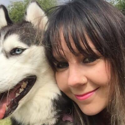 animal welfare graduate takes canine business worldwide