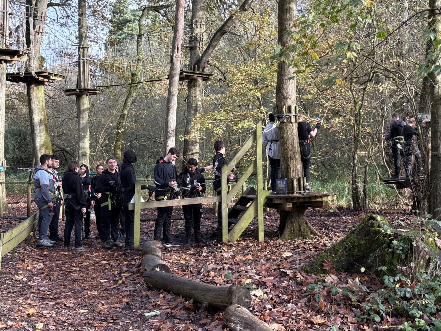 UPS students on a field trip to Go Ape