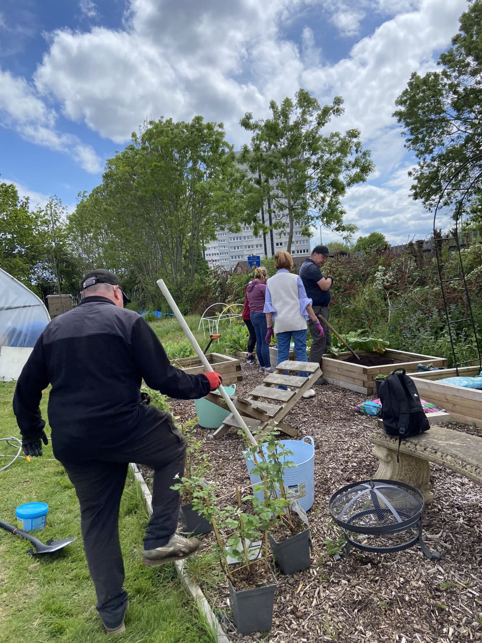 people gardening in the community garden