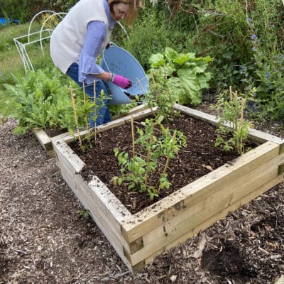 lady tending to a planter