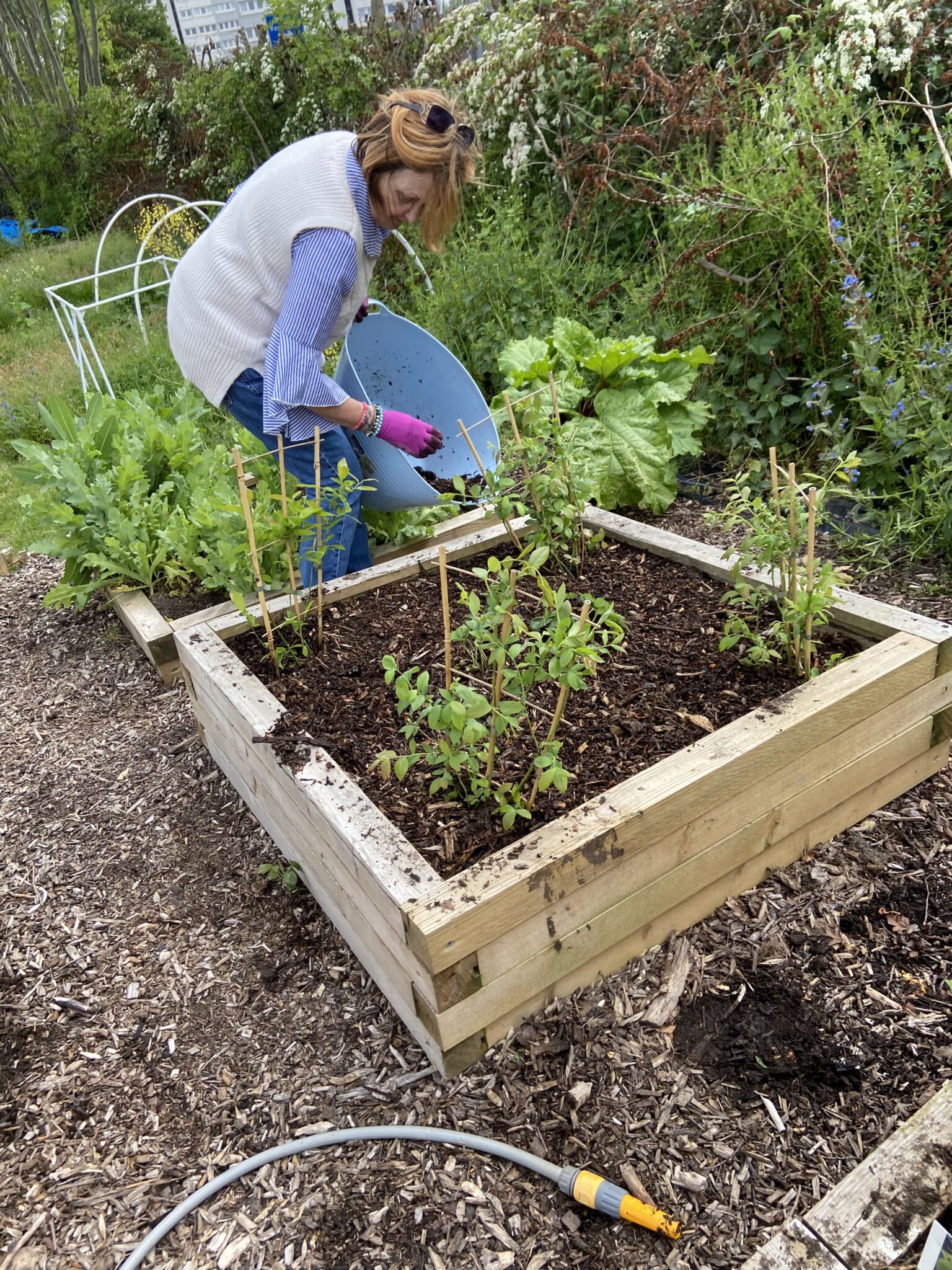 lady tending to a planter