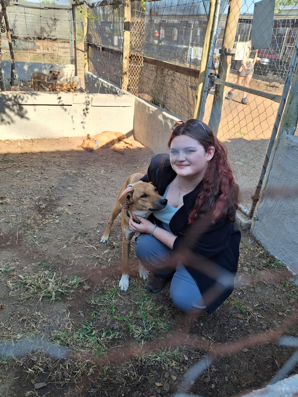Lucy with a dog